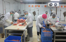 舜泰專業(yè)團(tuán)隊(duì)