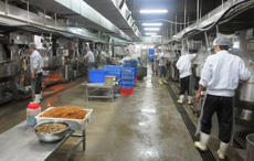 舜泰專業(yè)團(tuán)隊(duì)