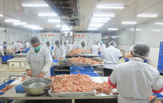 舜泰專業(yè)團(tuán)隊(duì)