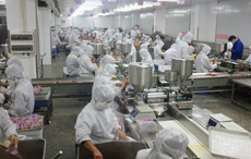 舜泰專業(yè)團(tuán)隊(duì)